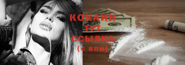 крисы Баксан