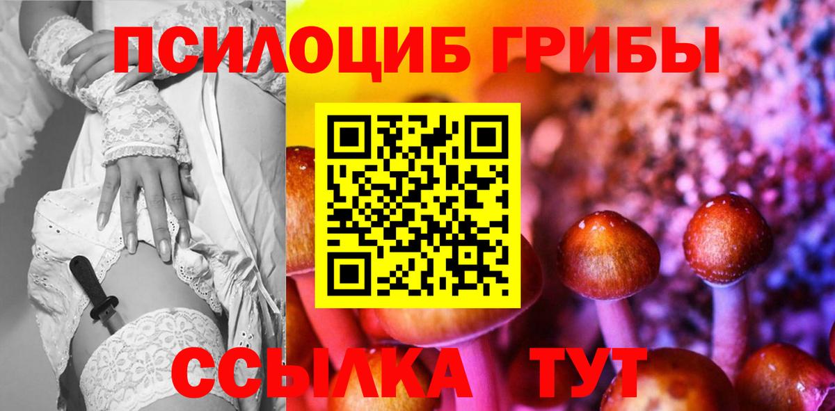Галлюциногенные грибы ЛСД Печора