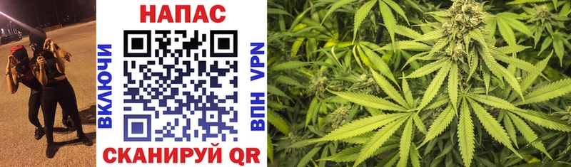 Канабис OG Kush  сайты даркнета телеграм  Печора 